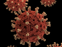 Immunsystem stärken – Gesundheit aktiv fördern