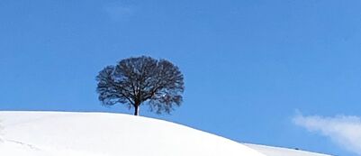 Die Grippeimpfung schützt